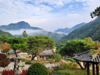 세인트 인 우둠지