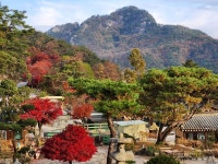 세인트 인 우둠지