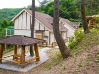 원주 싸리치숲속랜드 펜션