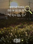 제주 엘마르 펜션 [쇠소깍]
