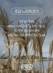 제주 엘마르 펜션 [쇠소깍]