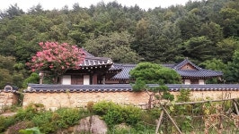 강릉 왕산골한옥민박