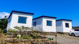 제주 퐁낭에염