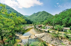 삼척 죽화우펜션