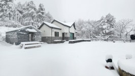강릉 왕산골숲속펜션