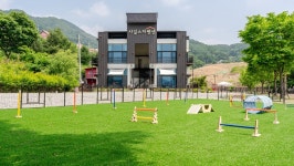 가평 샤갈 애견동반 스파 펜션