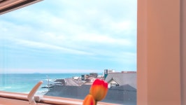 제주 달리펜션