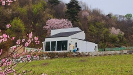 공주 라이트풀