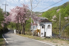양평 도로시밸리 독채펜션