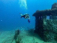  | Underwater Cleanup Dive | Book online | PADI Adventures