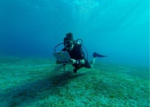 Athens | Dive Against Debris | Book online | PADI Adventures