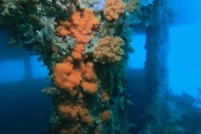 F69 Wreck dive site | PADI