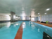 PADISouth Korea热门潜店 | PADI