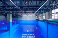PADI Dive Shops near you | PADI