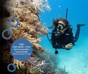 함덕스쿠버 다이빙 인피니티씨스포츠 | | 온라인 수중 사진 과정 | 온라인 북킹 | PADI Adventures | 온라인 수중 사진 과정 | 온라인 북킹 | PADI Adventures