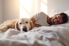Sleep | Marketwatch Guides