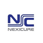 블라인드 | 넥시큐어시스템테크놀로지 기업정보