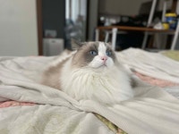 블라인드 | 헬스·다이어트: 388 헬스·다이어트: 388