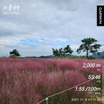 블라인드 | 헬스·다이어트: 오늘,수영 (2수중 1수완) 헬스·다이어트: 오늘,수영 (2수중 1수완)