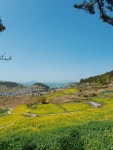 블라인드 | 여행·먹방: 한적한 섬마을 여행·먹방: 한적한 섬마을
