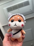 블라인드 | 반려동물: 곰이 인형뽑기🐶 반려동물: 곰이 인형뽑기🐶