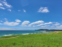 블라인드 | 여행·먹방: 현재 제주도 서귀포 산방산이랑 사계쪽 여행·먹방: 현재 제주도 서귀포 산방산이랑 사계쪽
