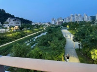 블라인드 | 헬스·다이어트: 새로 산 신발🐸 헬스·다이어트: 새로 산 신발🐸