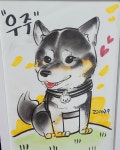 블라인드 | 반려동물: 시바나라 운동회 다녀왔어요 반려동물: 시바나라 운동회 다녀왔어요