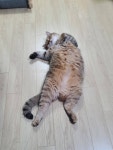 (주)아이비푸드 크린팩토메이션점 | 블라인드 | 이직·커리어: 크린팩토메이션 메인트 질문드려요! 이직·커리어: 크린팩토메이션 메인트 질문드려요!