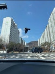 블라인드 | 블라블라: 홈플러스 털어가는 중 블라블라: 홈플러스 털어가는 중
