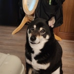 블라인드 | 블라블라: 미안해.. 블라블라: 미안해..