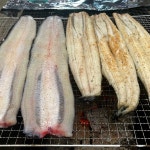 블라인드 | 여행·먹방: 청주 집밥 장어구이 여행·먹방: 청주 집밥 장어구이