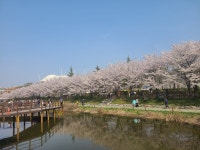 블라인드 | 나들이 명소: 인천 서부간선수로 나들이 명소: 인천 서부간선수로
