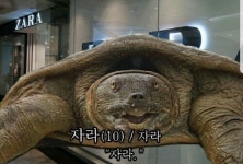 블라인드 | 블라블라: 낼 출근이다. 자라 블라블라: 낼 출근이다. 자라