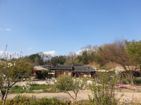 블라인드 | 여행·먹방: 영주 무섬마을&외나무다리 여행·먹방: 영주 무섬마을&외나무다리