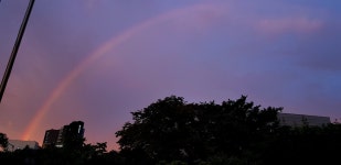 블라인드 | 블라블라: 무지개떴어! 블라블라: 무지개떴어!