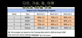 블라인드 | 헬스·다이어트: 웬들러 531 해보신 분? 헬스·다이어트: 웬들러 531 해보신 분?