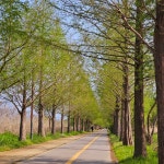 블라인드 | 헬스·다이어트: 국토종주 1일차 - 1 헬스·다이어트: 국토종주 1일차 - 1