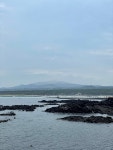 블라인드 | 여행·먹방: 현직 제주 한림. 여행·먹방: 현직 제주 한림.