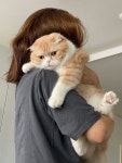 블라인드 | 반려동물: 우리냥이 반려동물: 우리냥이