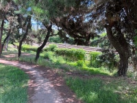 블라인드 | 헬스·다이어트: 걷기!!! 헬스·다이어트: 걷기!!!