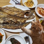 블라인드 | 블라블라: 동대문에서 생선구이 백반 먹었는데 진짜 맛있다 블라블라: 동대문에서 생선구이 백반 먹었는데 진짜 맛있다