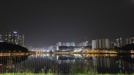 블라인드 | 블라블라: 산책 나왔어 블라블라: 산책 나왔어