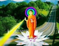 블라인드 | 암호화폐: 부처빔 맞았을 때 악재가 뭐였어요? 암호화폐: 부처빔 맞았을 때 악재가 뭐였어요?