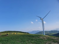 블라인드 | 여행·먹방: 대관령 선자령 여행·먹방: 대관령 선자령