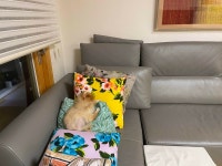 블라인드 | 블라블라: 딥슬립 블라블라: 딥슬립