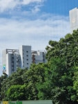 블라인드 | 부동산: 광교상현꿈에그린vs광교호반베르디움 부동산: 광교상현꿈에그린vs광교호반베르디움