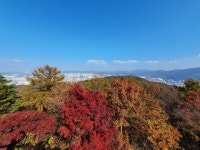 블라인드 | 블라블라: 공주를 떠나서 대전 보문산 시루봉🎶 블라블라: 공주를 떠나서 대전 보문산 시루봉🎶