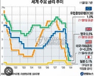 블라인드 | 부동산: 기준금리 인하를 꼭해야해? 부동산: 기준금리 인하를 꼭해야해?