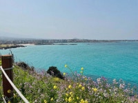 블라인드 | 여행·먹방: 오늘자 함덕 여행·먹방: 오늘자 함덕